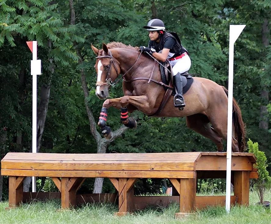 redbird equestrian riding school