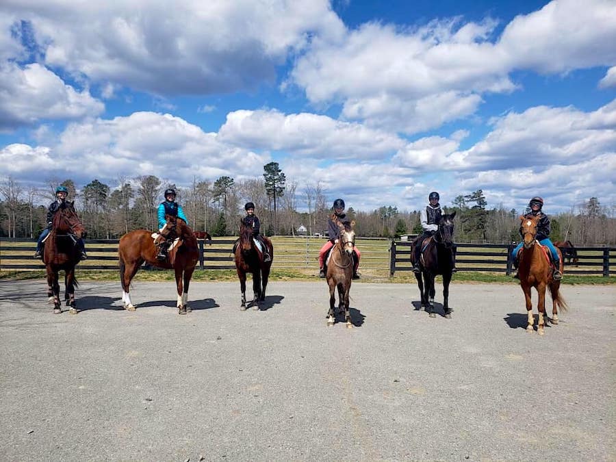 RedBird Equestrian Book Now! Horses