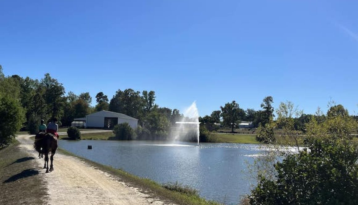 Horse Riding School Chesterfield Va