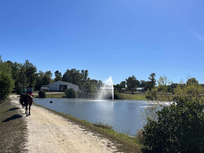 horse-riding-school-chesterfield-va