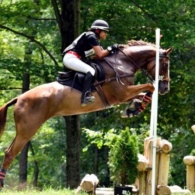 horse stables riding lessons