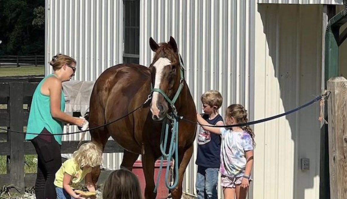RedBird Equestrian Horse Boarding