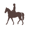 redbird equestrian riding