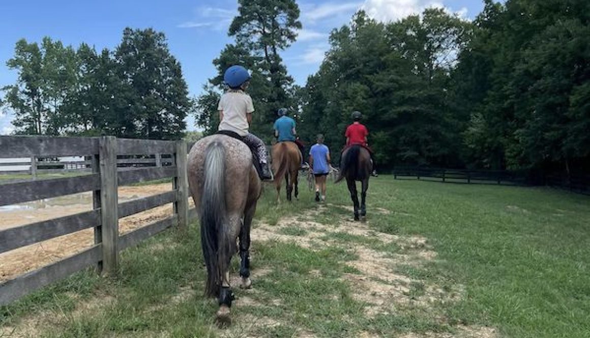 RedBird Riding Trail Rides Horses