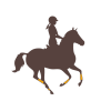 redbird equestrian horse show riding