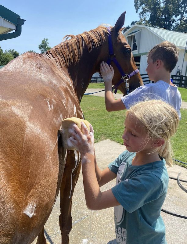 red_bird_equestrian_kids_camps redbird equestrian kids camps washing horse