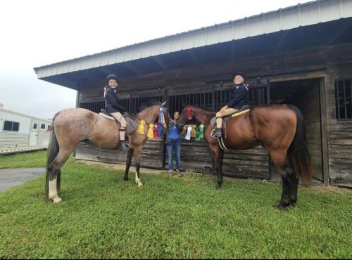 redbird riding horse show