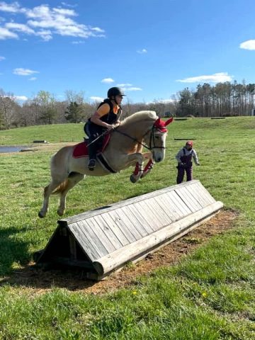 teen and adult horseback riding lessons redbird