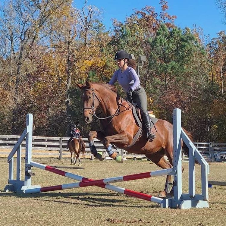 Redbird Equestrian advanced lessons