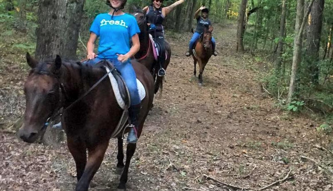redbird horseback trail rides in cheasterfield