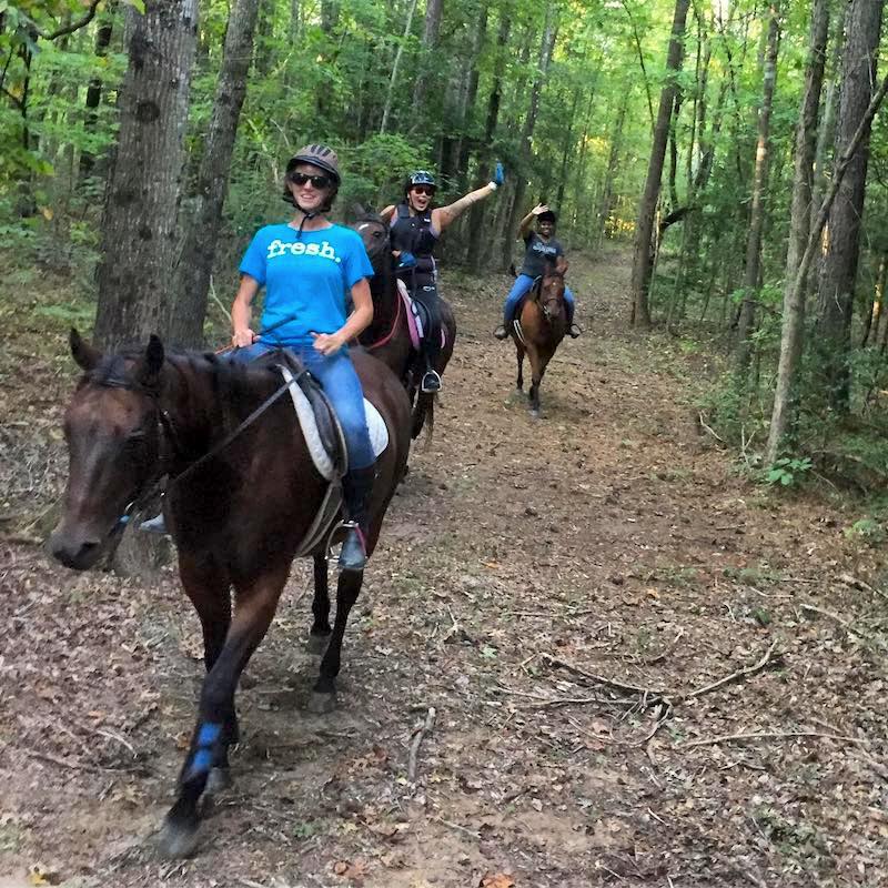 horseback-trail-rides-tours-redbird-equestrian-chesterfield