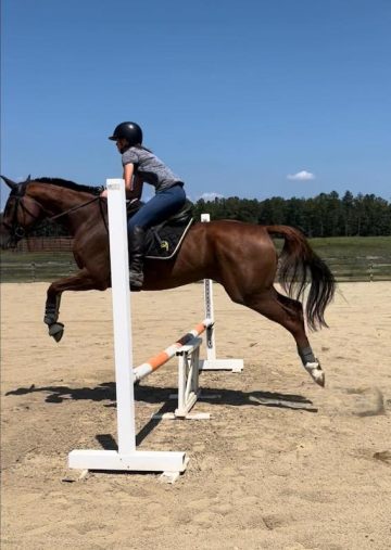 horseback riding lessons for kids