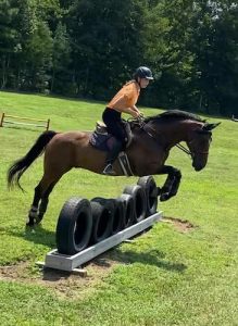 Redbird Equestrian Pony Camp Kids