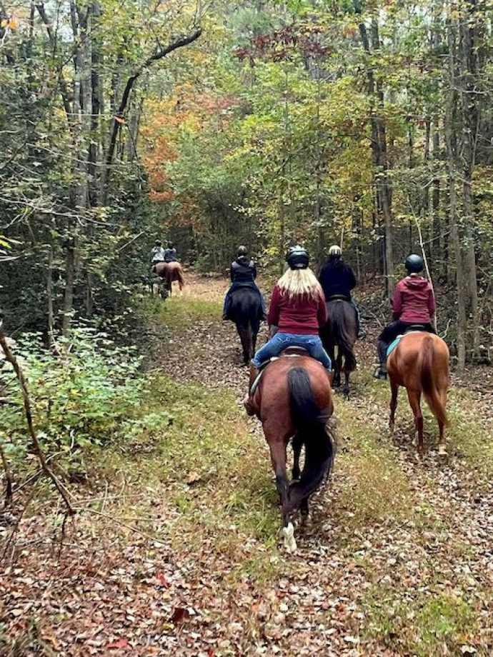 redbird horse trail riding fun