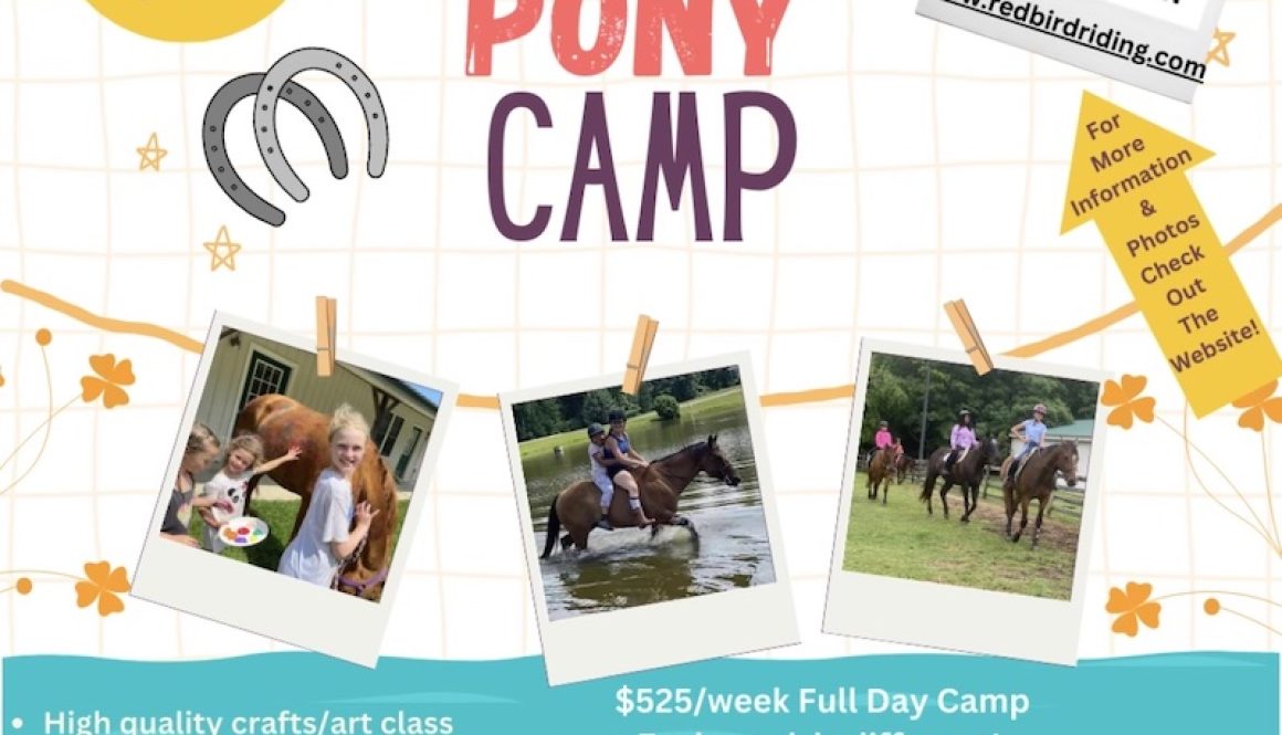 redbird equestrian summer kids riding camp flyer