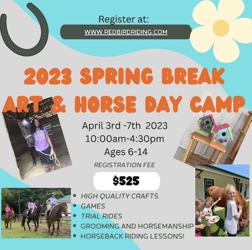 redbird-equeastrian-spring-break-camp-art-horseback