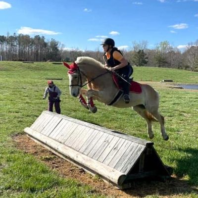 horse jumping with an advanced rider