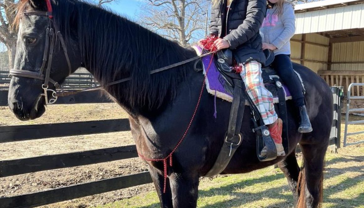 Kids riding a horse at camp with Redbird Equestrian